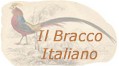 Il Bracco Italiano