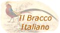 Il Bracco Italiano