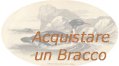 Acquistare un Bracco