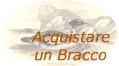 Acquistare un Bracco