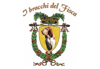 Acquistare un Bracco